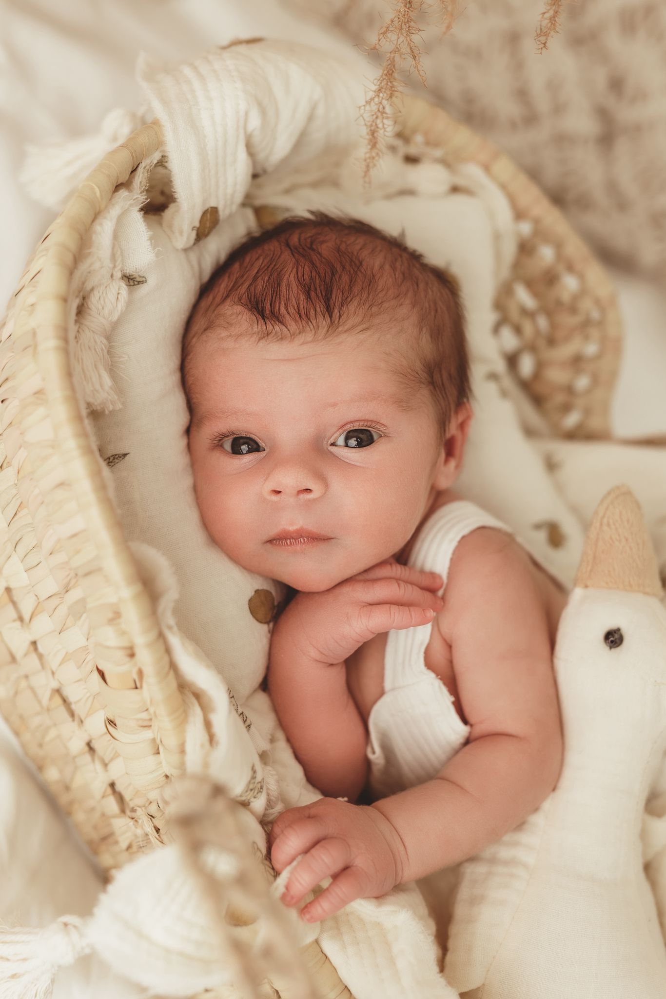 Familienfotografie Altendiez - Familienporträts